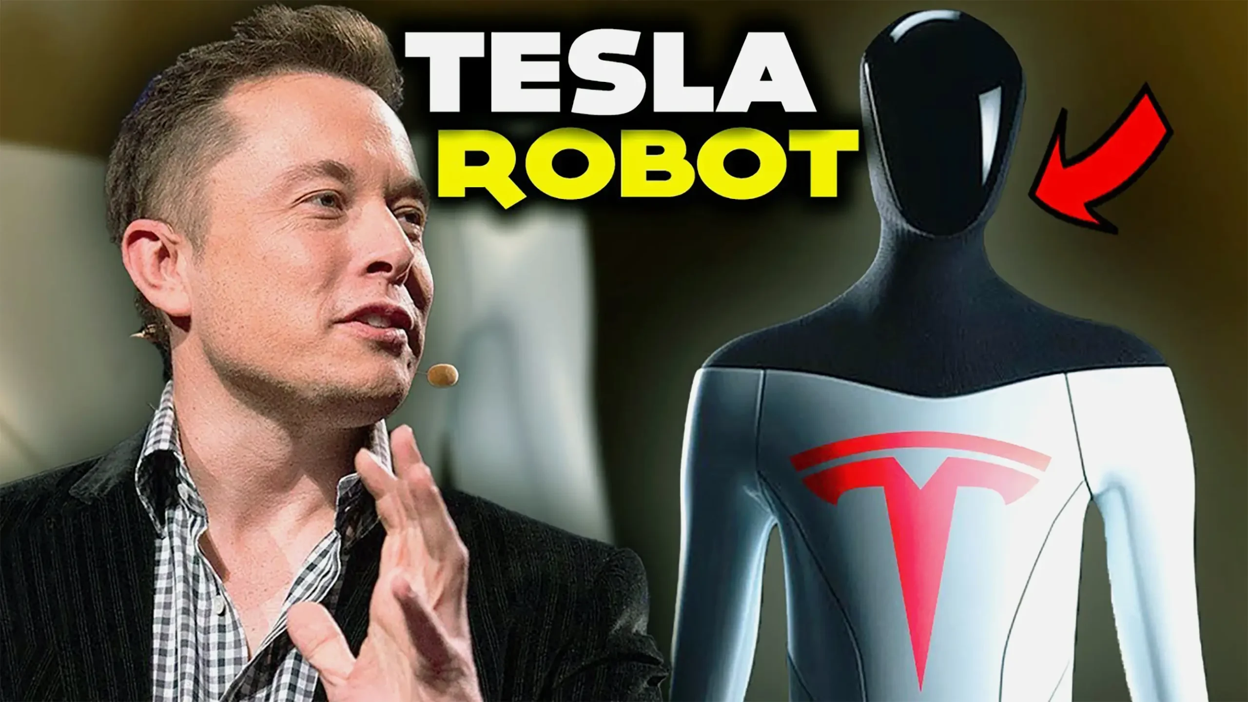 Elon Musk Tesla Robots